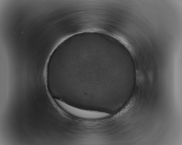 X0000094361046200711162046