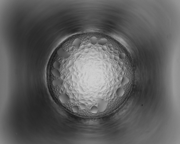 X0000094361047200711162046