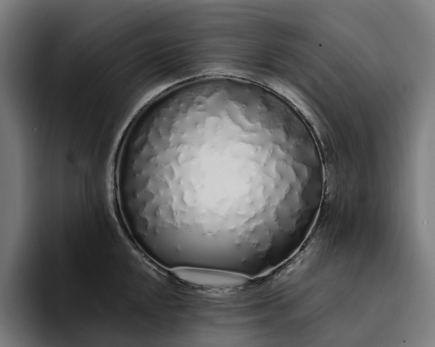 X0000094361048200711162046