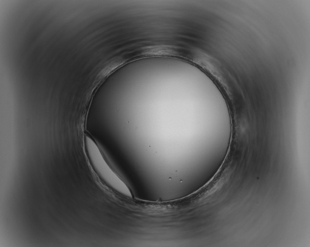 X0000094361049200711162046