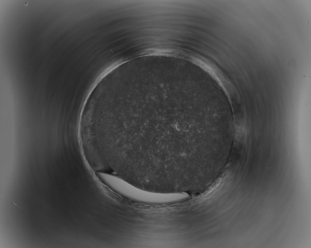 X0000094361050200711162046