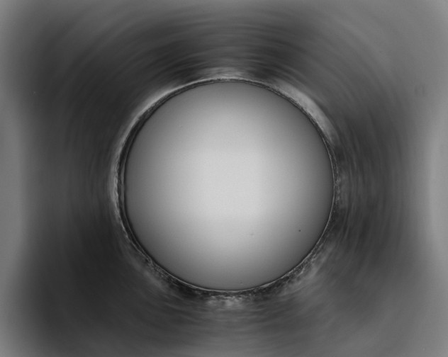 X0000094361051200711162046