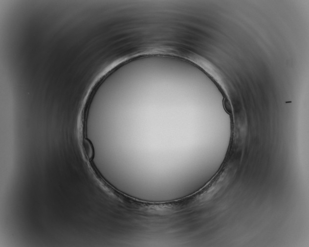 X0000094361053200711162046