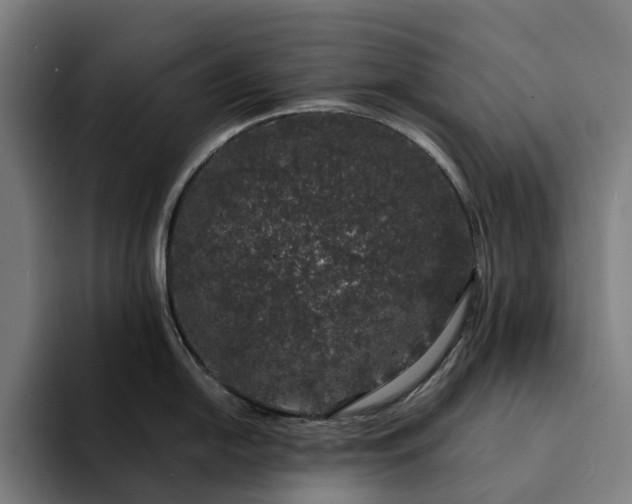 X0000094361054200711162046