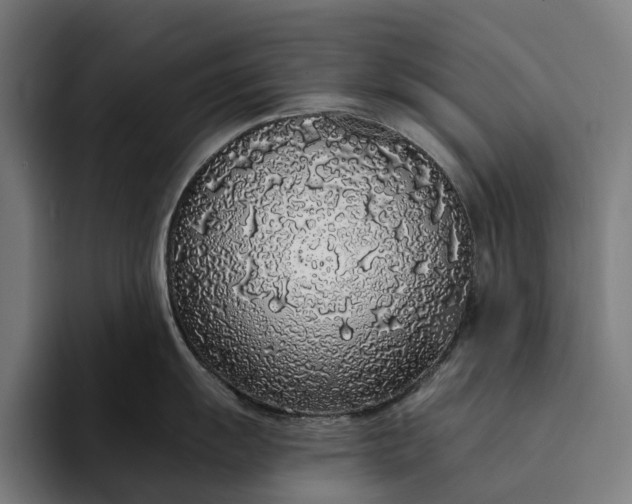 X0000094361055200711162046