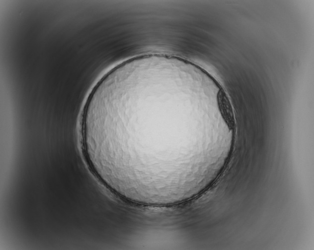 X0000094361056200711162046