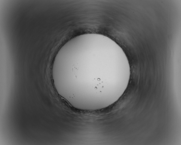 X0000094361057200711162046