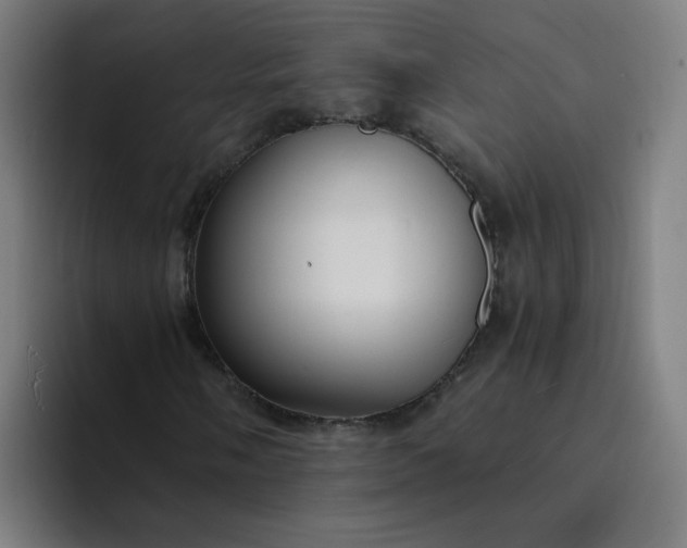 X0000094361058200711162046