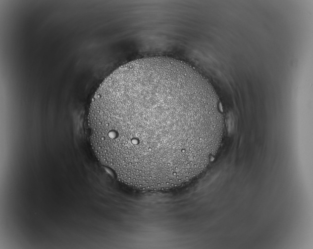 X0000094361059200711162046