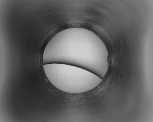 X0000094361060200711162046