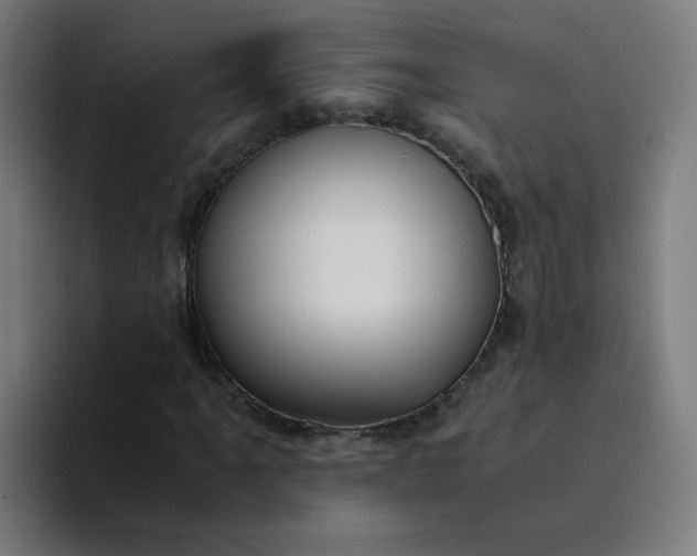 X0000094361061200711162046