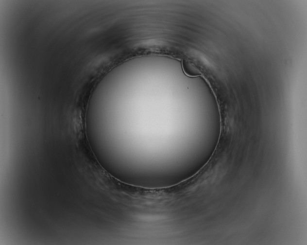 X0000094361062200711162046