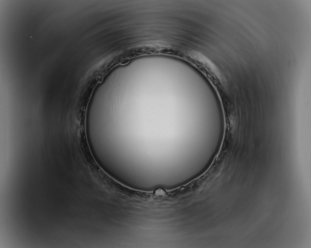 X0000094361064200711162046