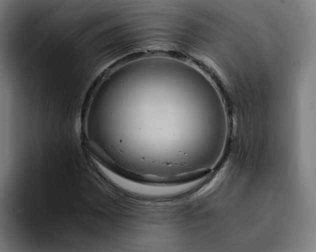 X0000094361065200711162046