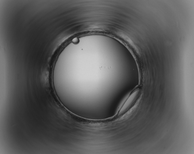 X0000094361066200711162046