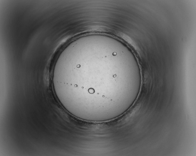 X0000094361067200711162046