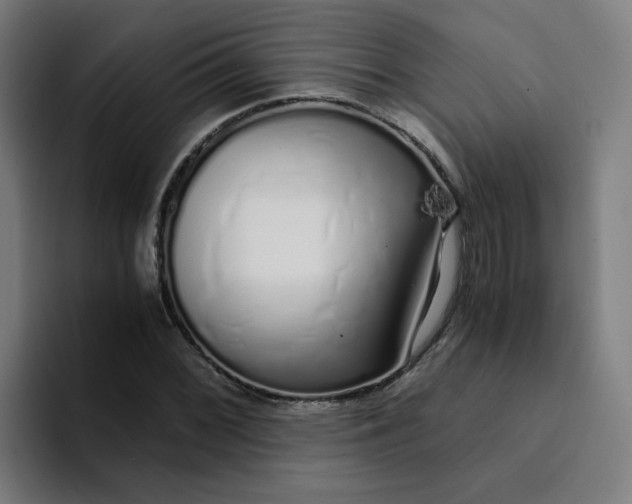 X0000094361068200711162046