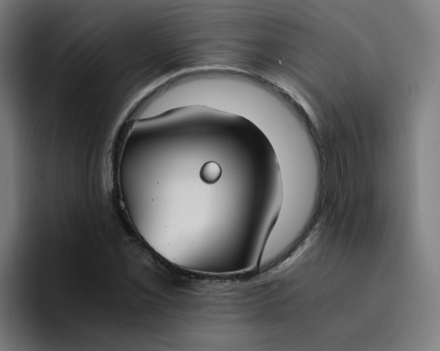 X0000094361069200711162046