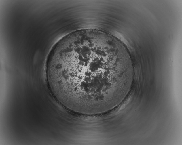 X0000094361071200711162046