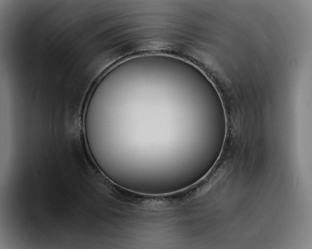 X0000094361073200711162046