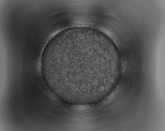 X0000094361074200711162046