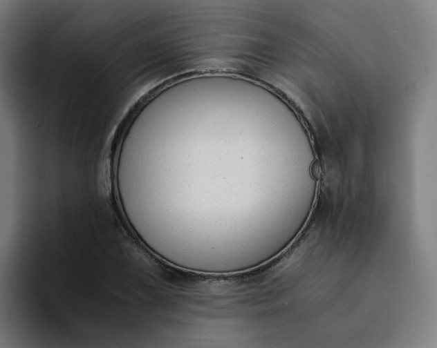 X0000094361075200711162046