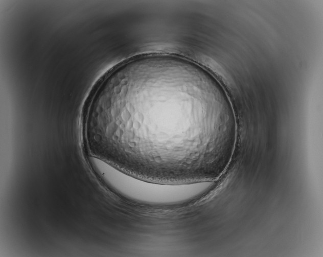 X0000094361079200711162045