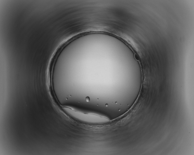 X0000094361080200711162045