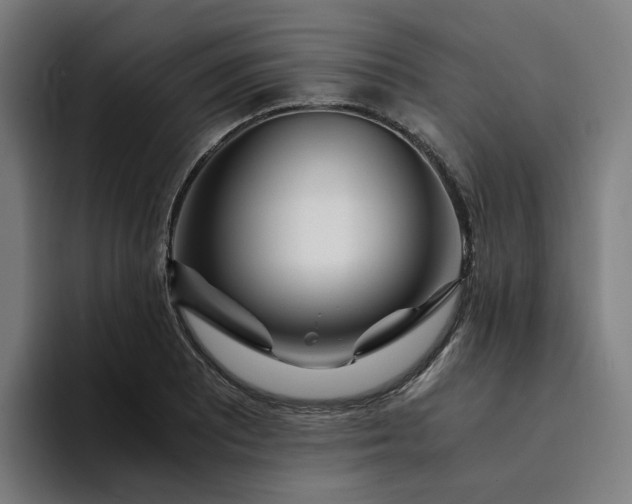 X0000094361081200711162045