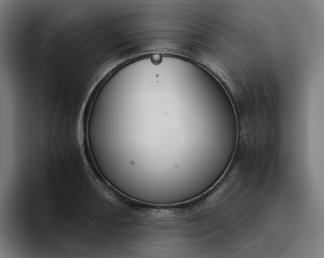 X0000094361082200711162045