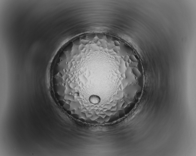 X0000094361083200711162045