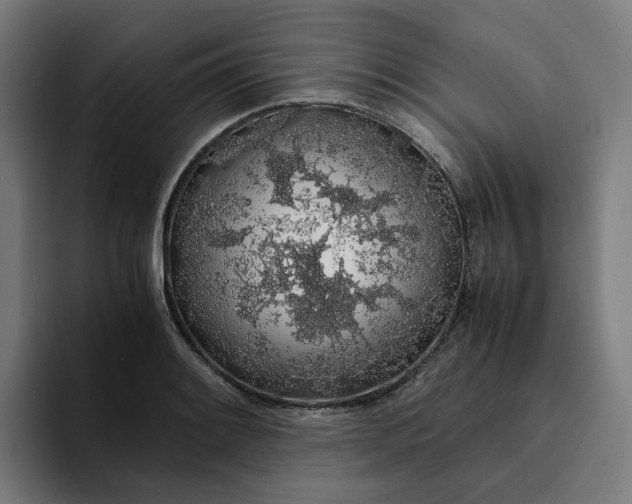 X0000094361084200711162045