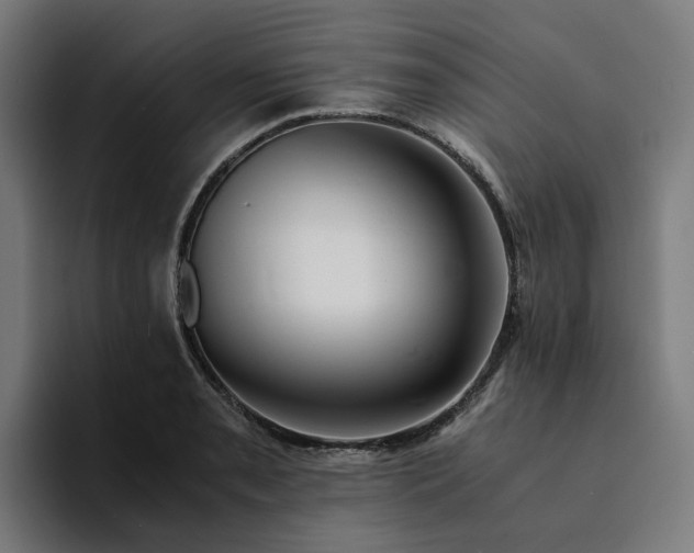 X0000094361085200711162045