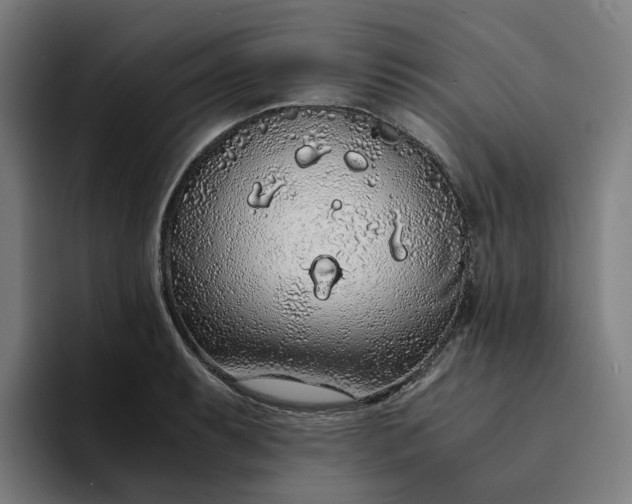 X0000094361087200711162045