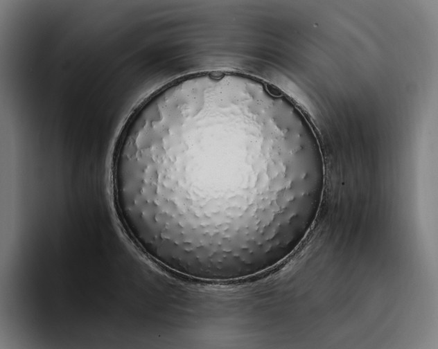 X0000094361088200711162045