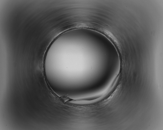 X0000094361089200711162045