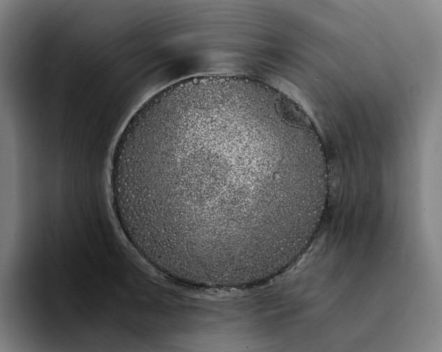 X0000094361091200711162045