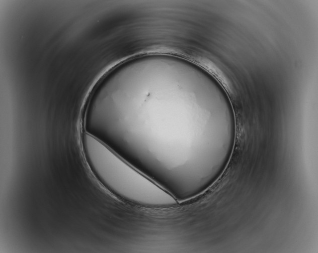 X0000094361092200711162045