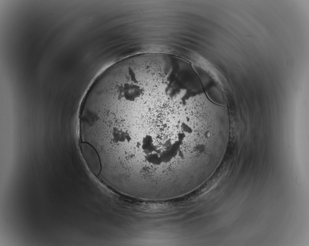 X0000094361095200711162045