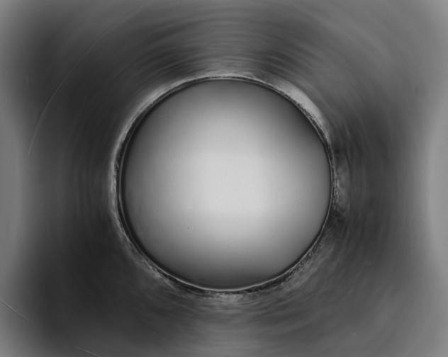 X0000094361096200711162045