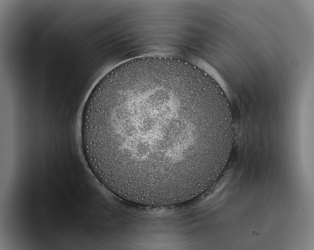 X0000094361099200711162045