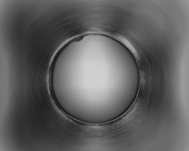 X0000094361100200711162045