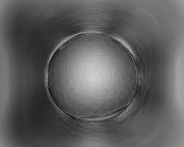 X0000094361101200711162045