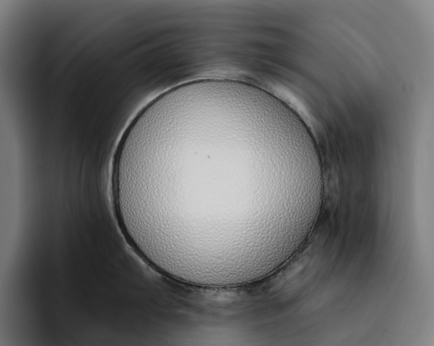 X0000094361103200711162045