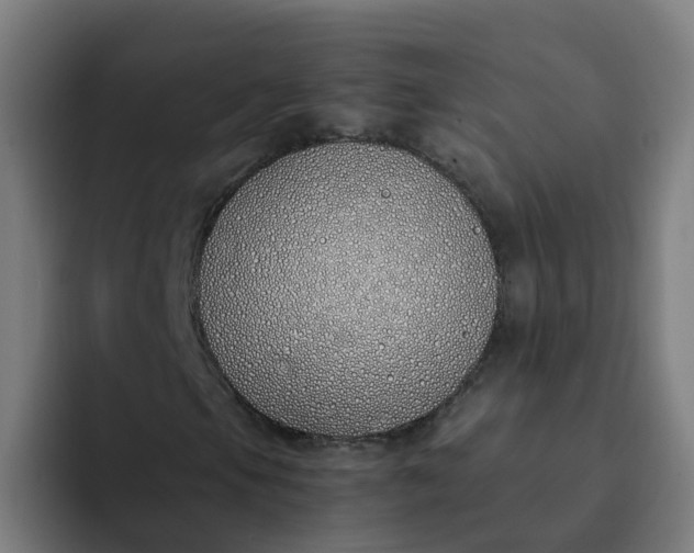 X0000094361105200711162045