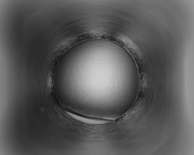 X0000094361110200711162045