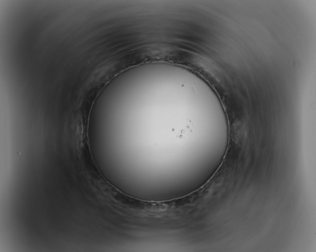 X0000094361111200711162045