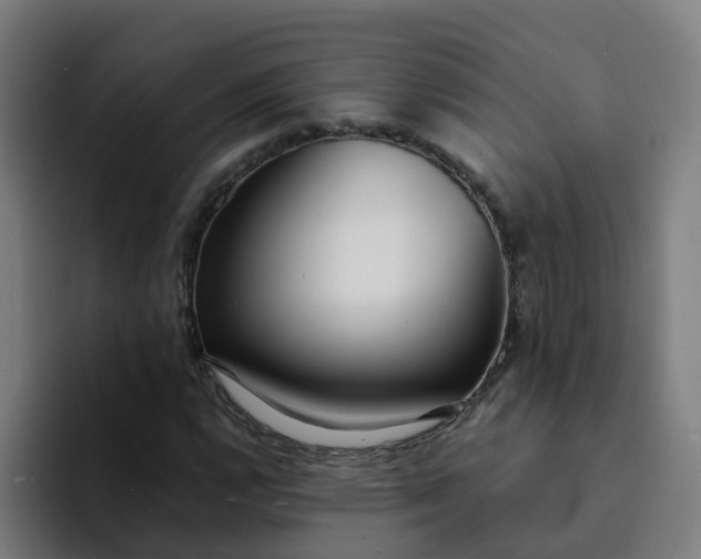 X0000094361112200711162045