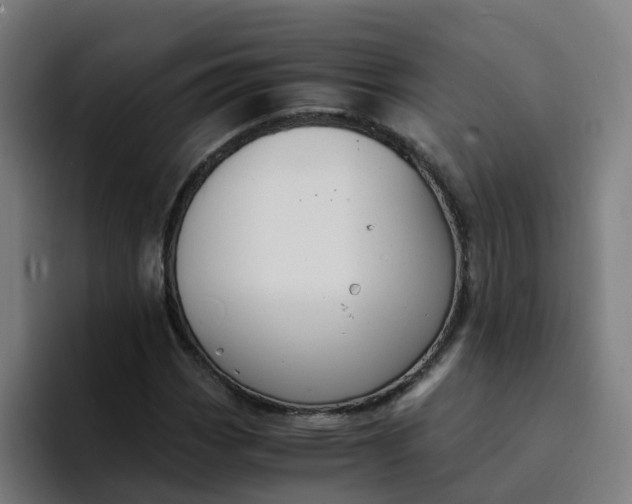 X0000094361113200711162045