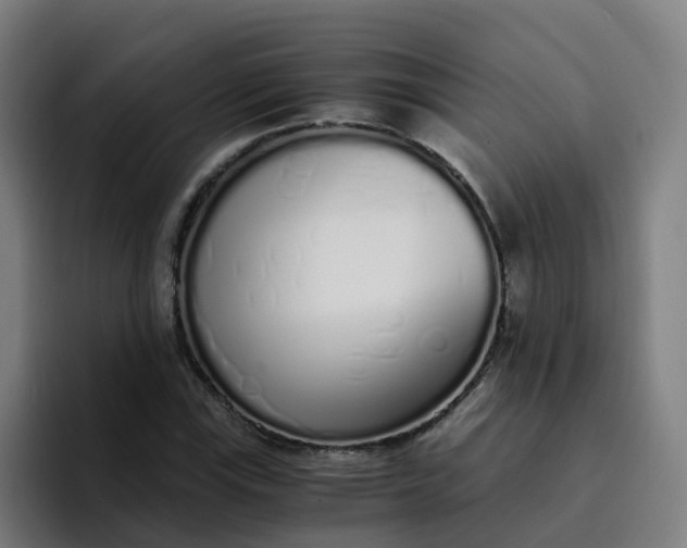 X0000094361115200711162045